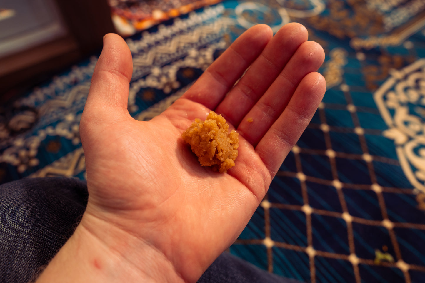 Singh Wedding in India Part 1 (Three Day Prayer)