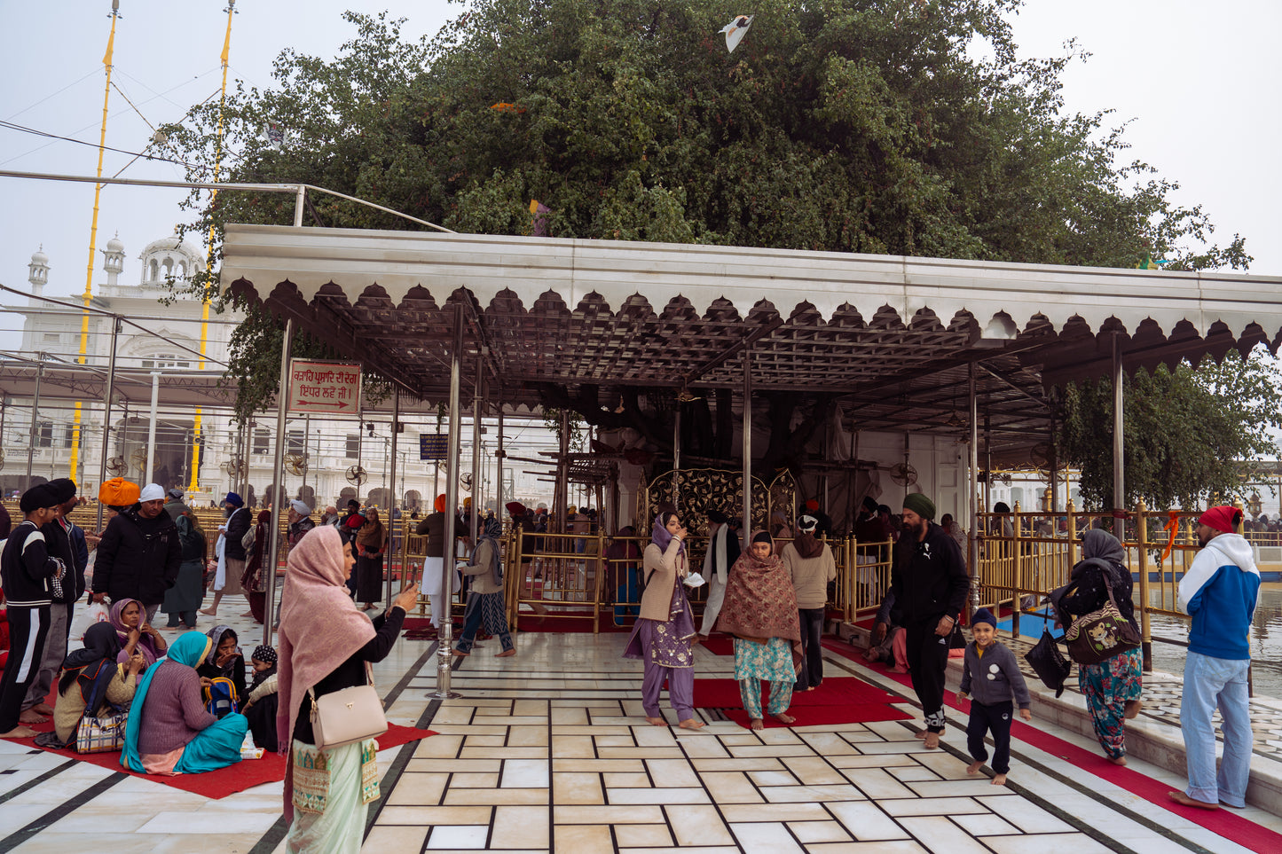 Singh Wedding in India Part 3 (Golden Temple)