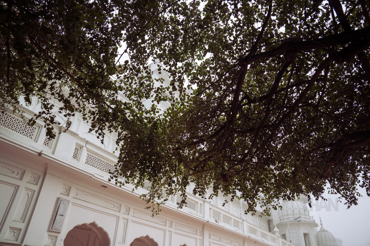 Singh Wedding in India Part 3 (Golden Temple)