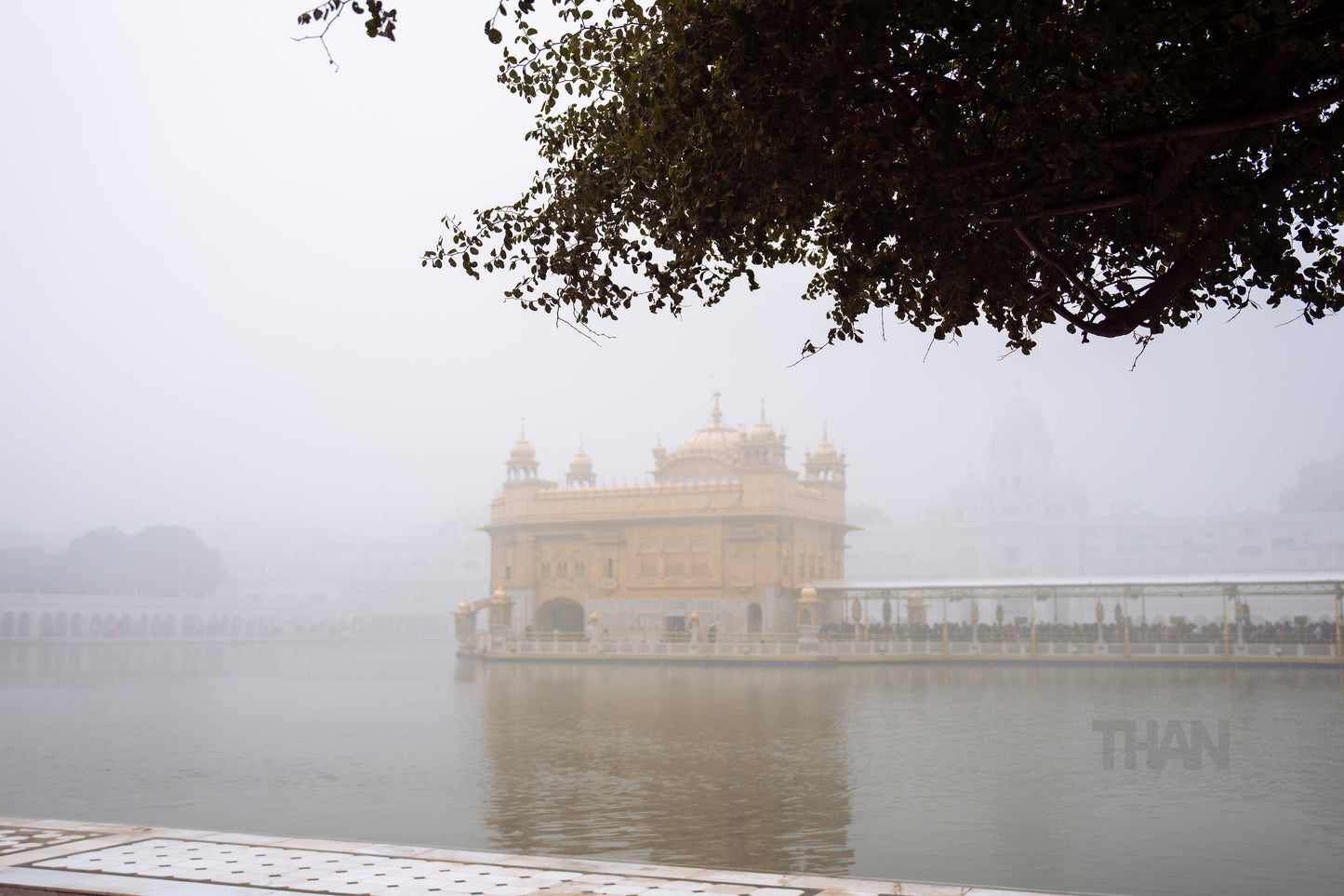 Singh Wedding in India Part 3 (Golden Temple)