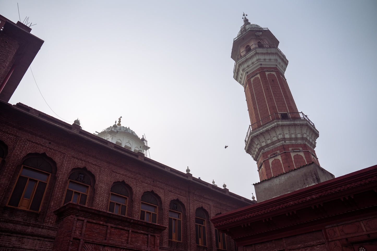 Singh Wedding in India Part 3 (Golden Temple)