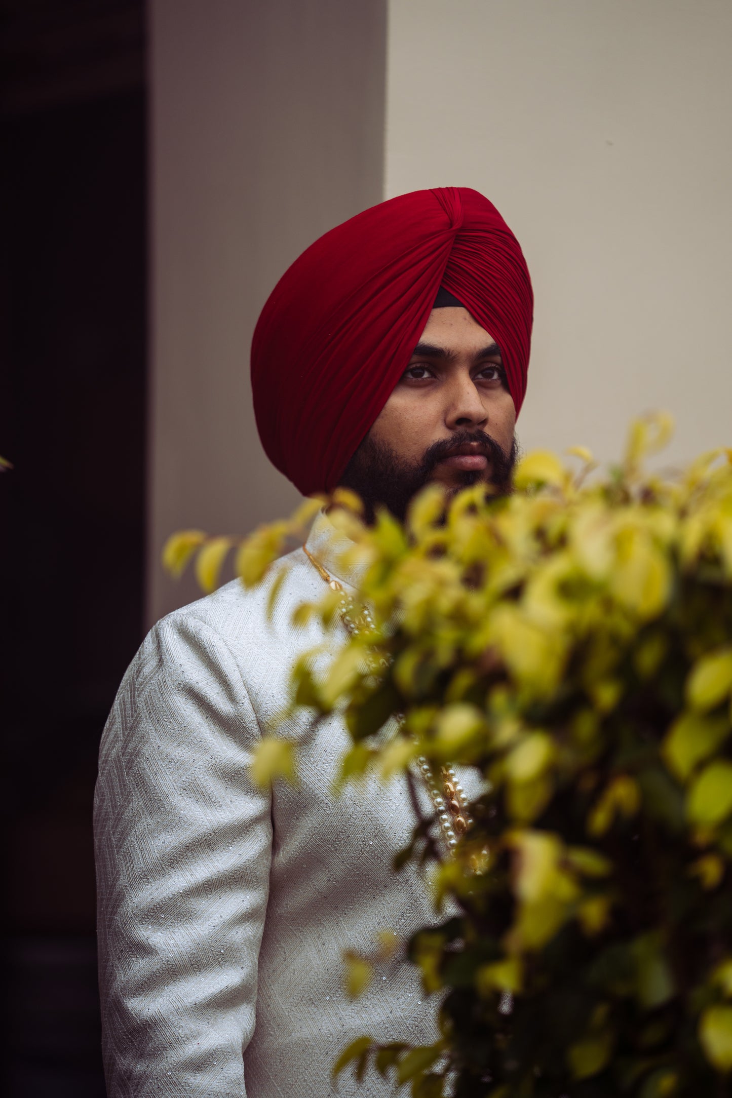 Singh Wedding in India Part 4 (Celebration)