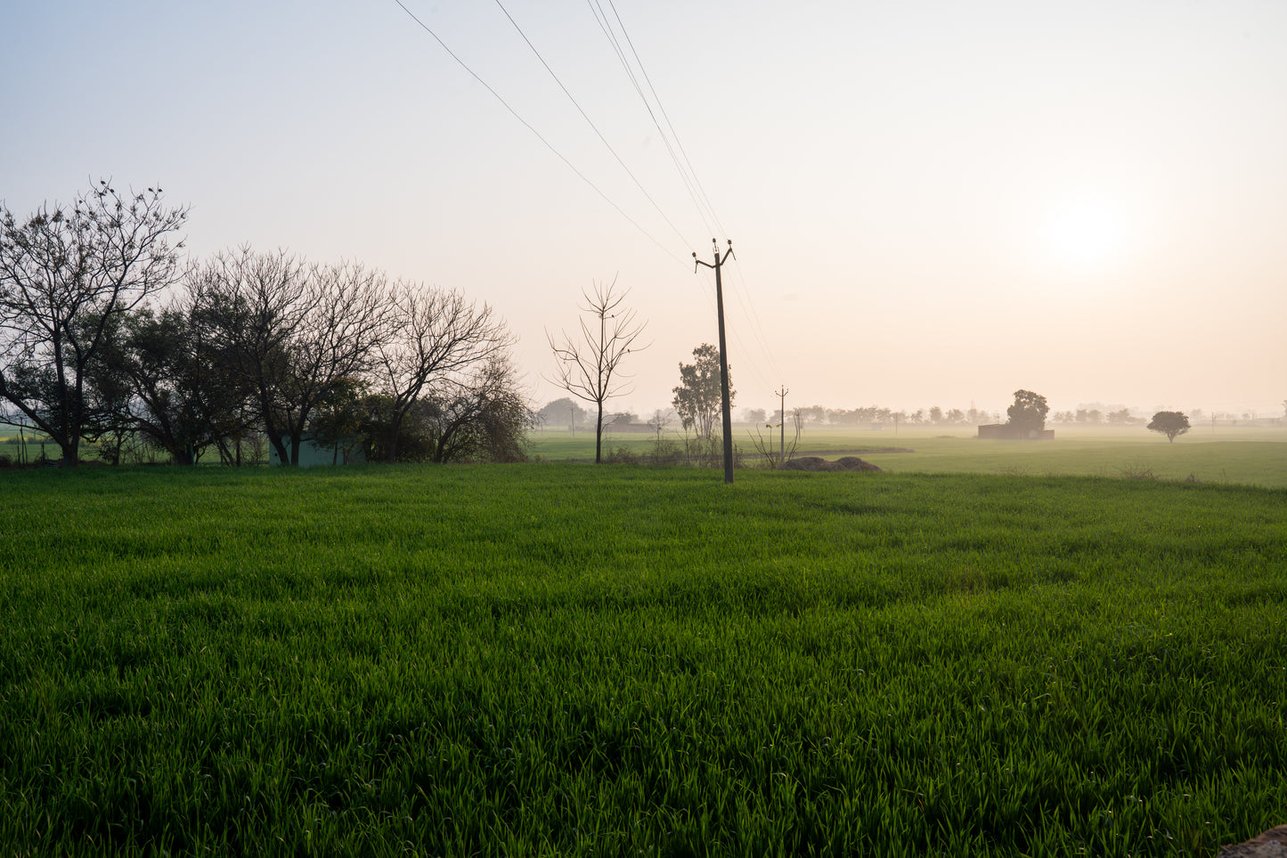 Singh Wedding in India Part 6 (Village)