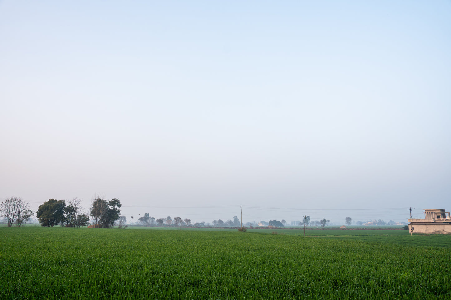Singh Wedding in India Part 6 (Village)