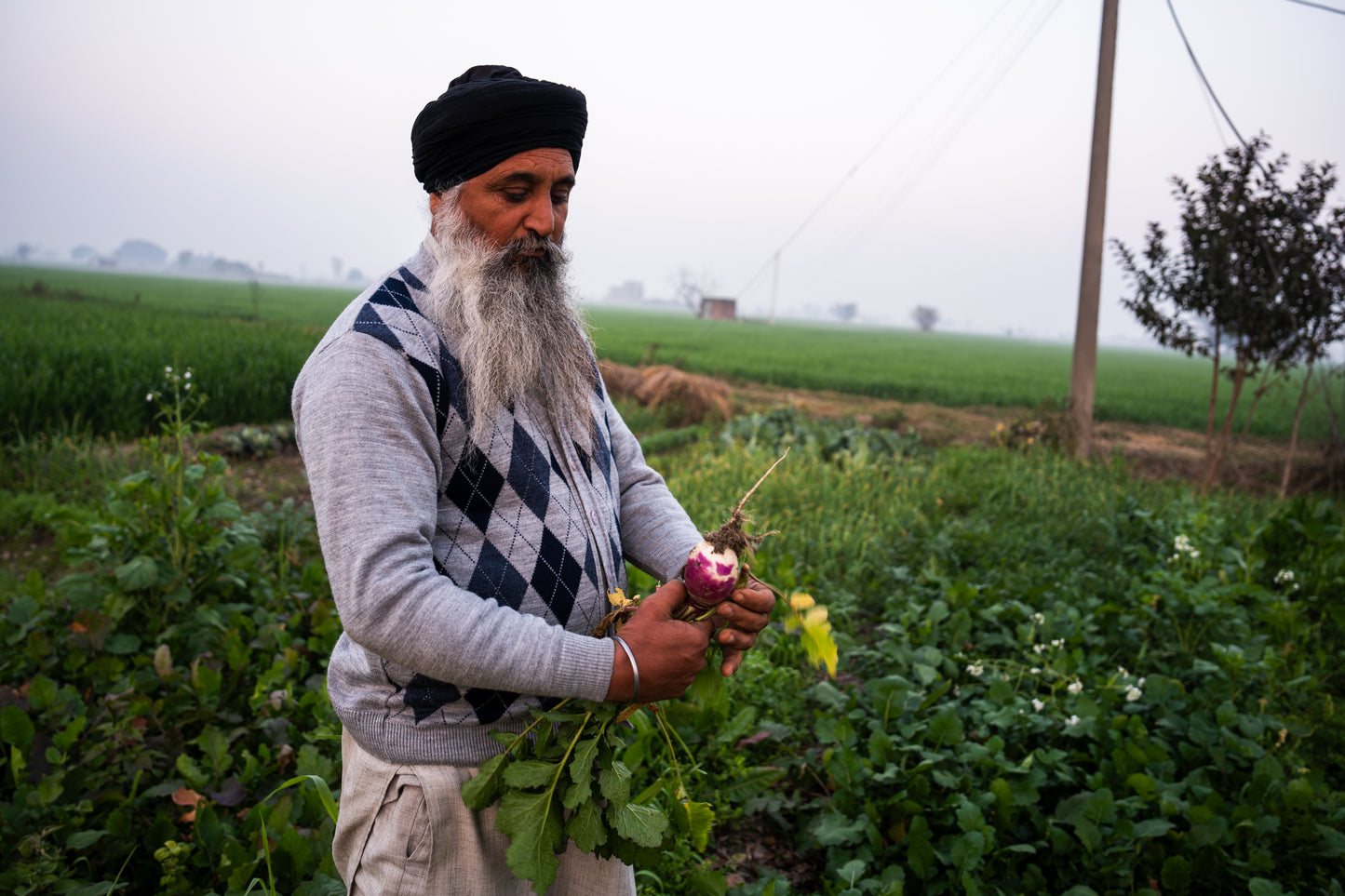 Singh Wedding in India Part 6 (Village)