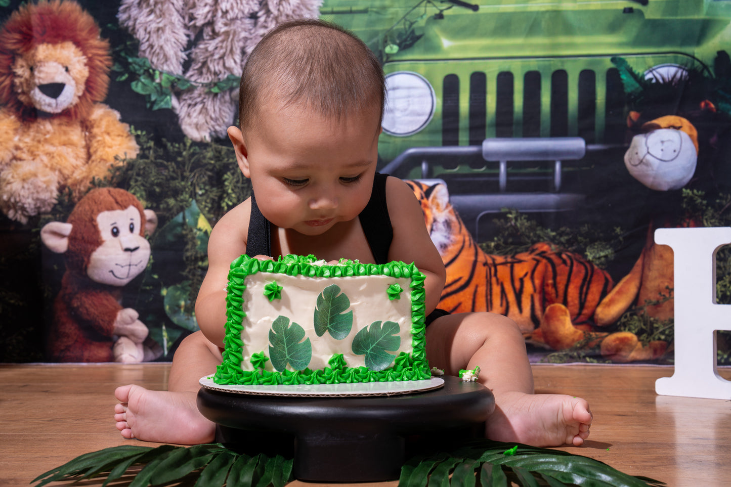 Jaxson 6 Month Birthday