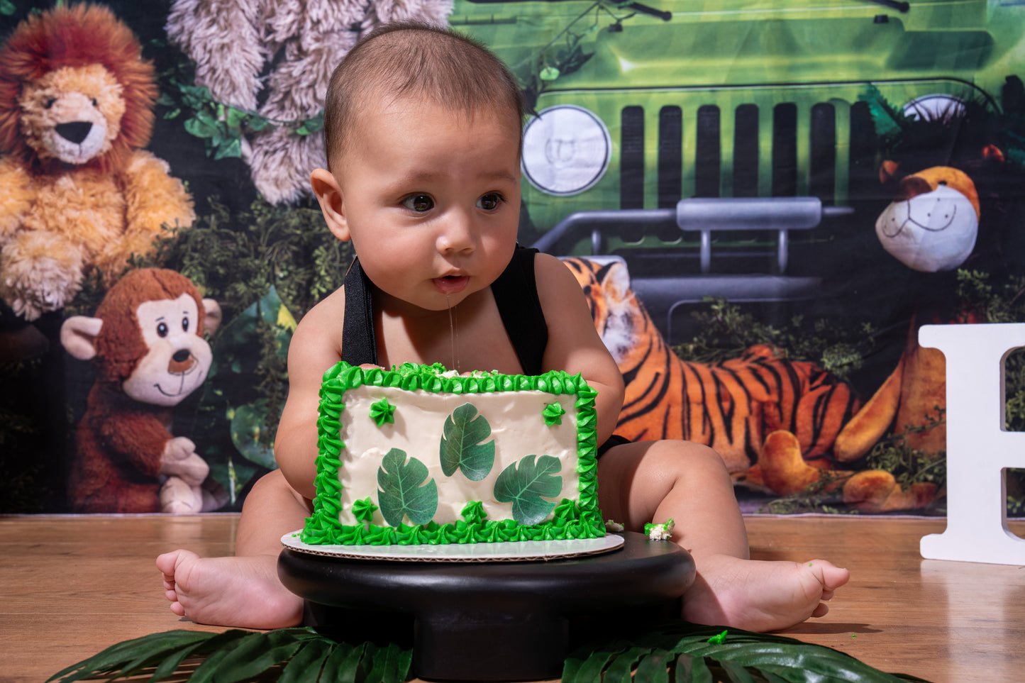 Jaxson 6 Month Birthday