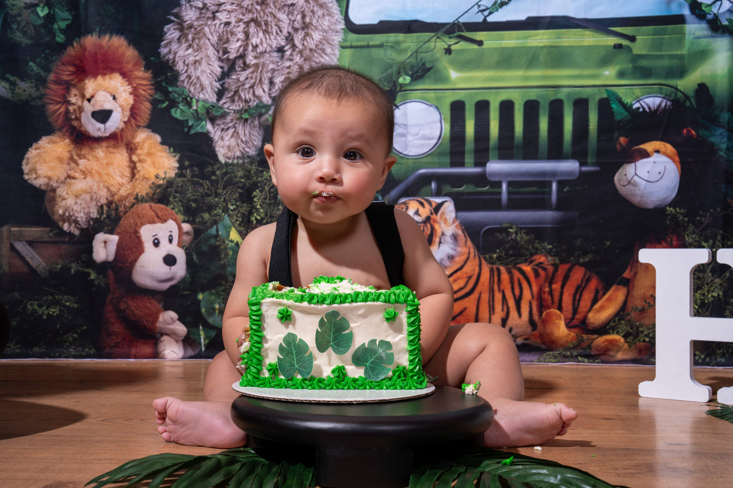 Jaxson 6 Month Birthday