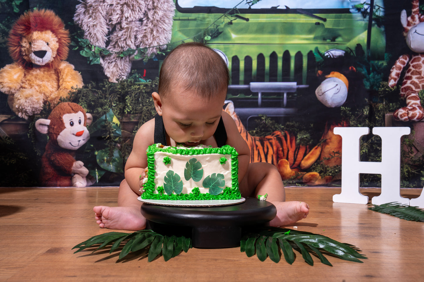 Jaxson 6 Month Birthday