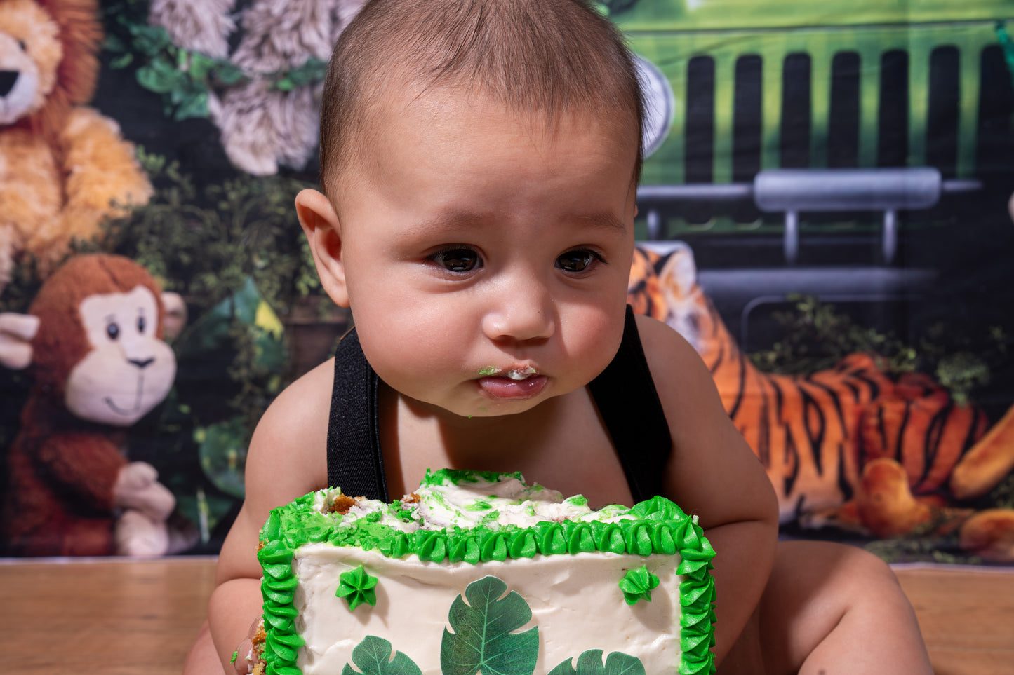 Jaxson 6 Month Birthday