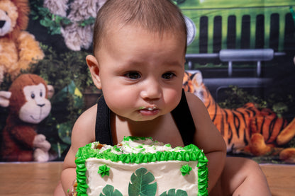 Jaxson 6 Month Birthday