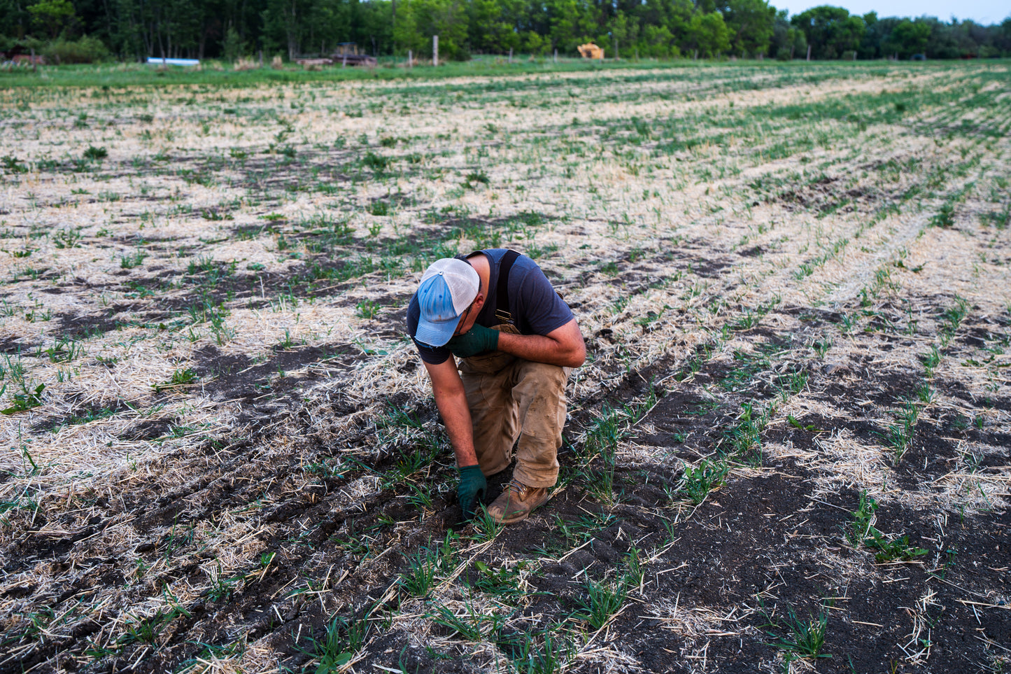Cory's Seeder