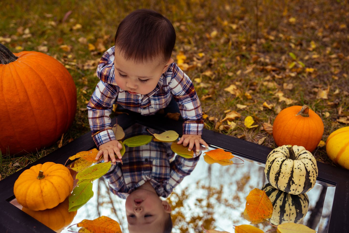 Mackenzie Darian and Jackson Fall Photos