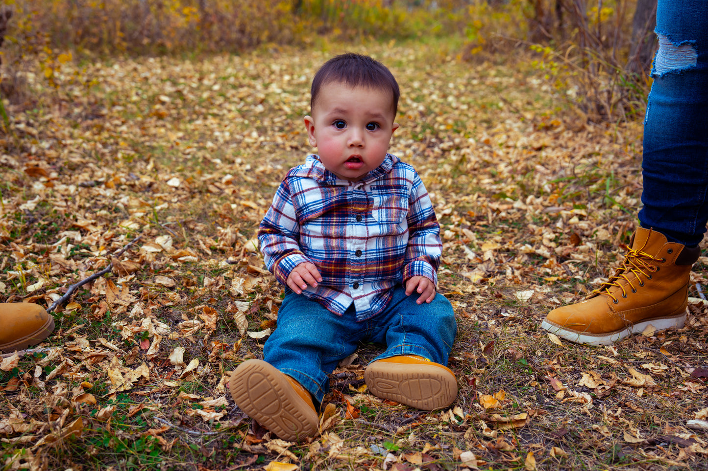 Mackenzie Darian and Jackson Fall Photos