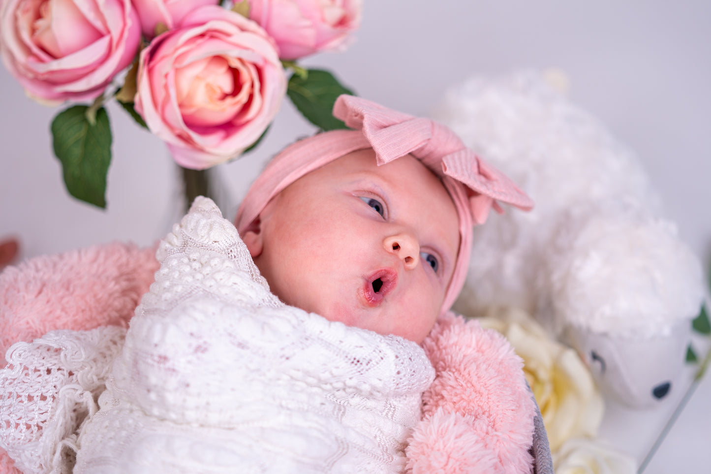 Emery Newborn Photos
