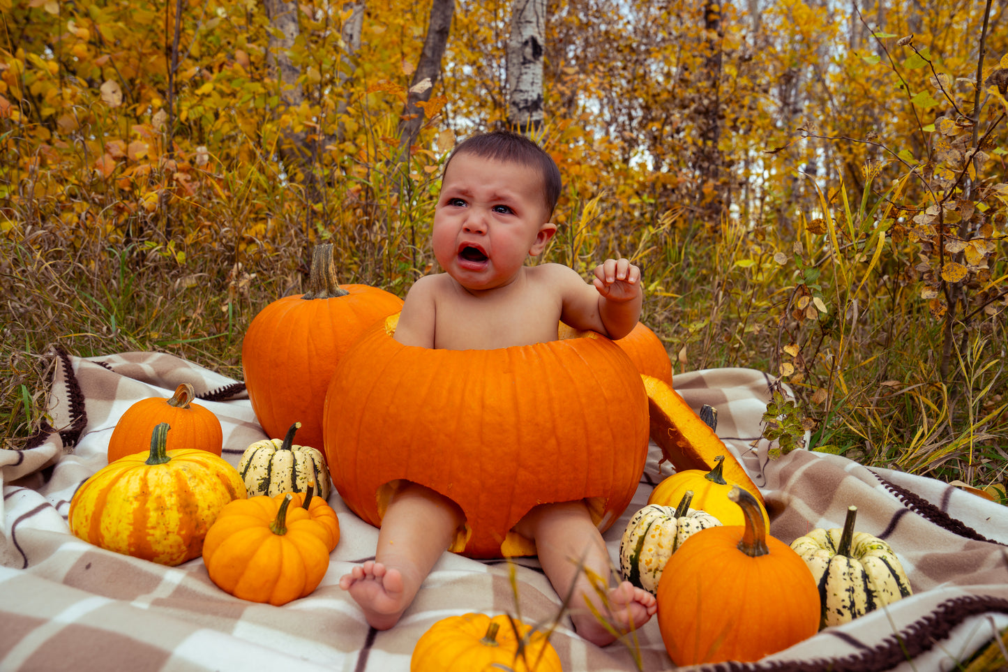 Mackenzie Darian and Jackson Fall Photos