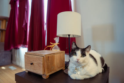 Kailee and Riley's Wedding