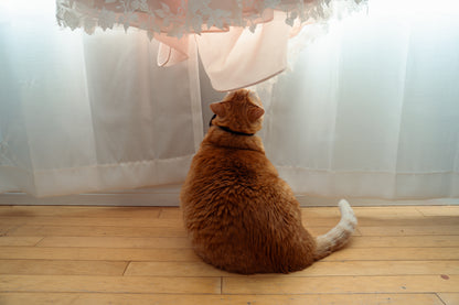 Kailee and Riley's Wedding