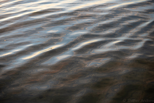 Pared Reflections